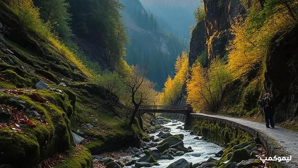 طبیعت گردی داراباد تهران