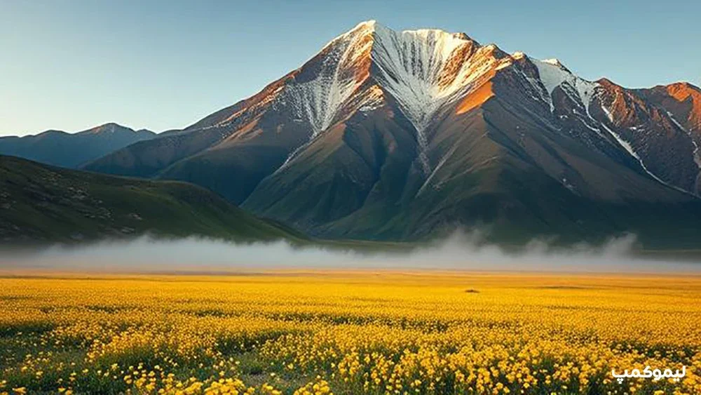 کمپینگ در دشت لار تهران 